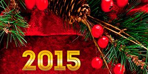 С Новым годом и Рождеством! С Новым годом и Рождеством!